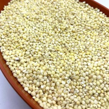 Millet bulk wholesale grain food feed industries