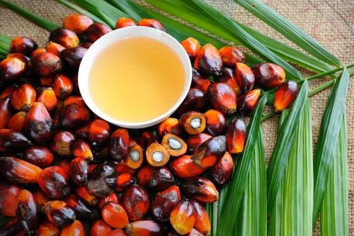 Palm olein bulk wholesale cooking oil food processing