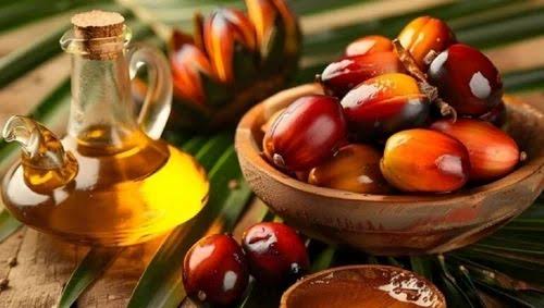 Refined palm oil RBD bulk wholesale food industrial