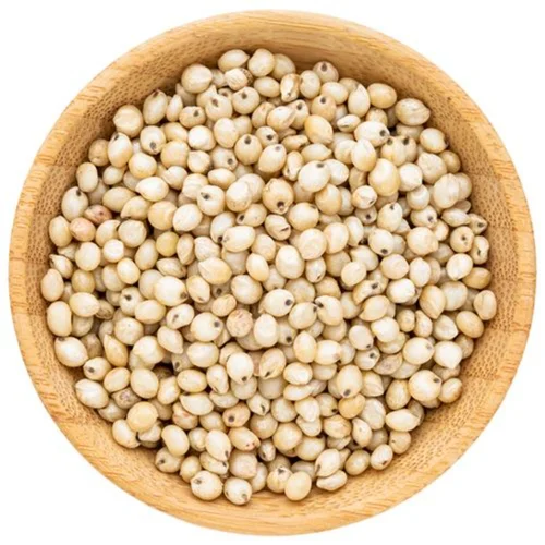 Sorghum bulk wholesale grain feed food processing